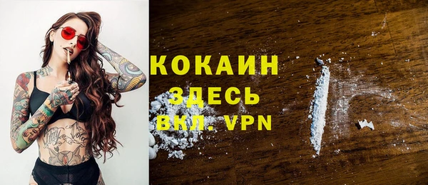 винт Няндома