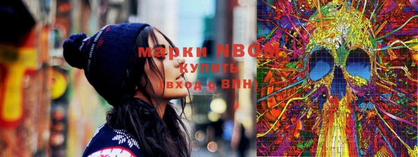 винт Няндома