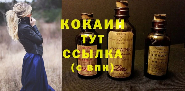 винт Няндома